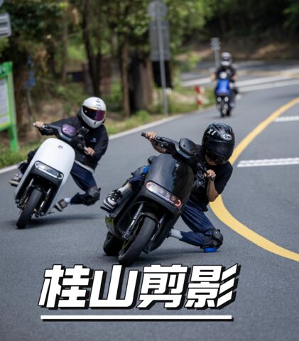 桂山剪影